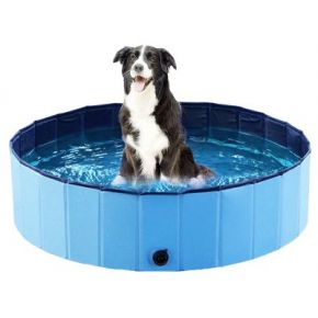 Dog Pool, koiria viilentävä allas