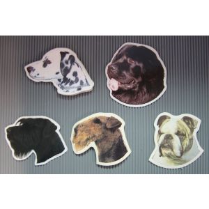 Autotarrat (n.6-7cm)