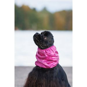 Dog It Life, Korvasuojahuppu